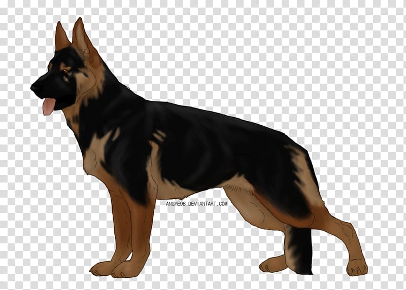 Old German Shepherd Dog Dog breed Malinois dog Puppy, puppy transparent background PNG clipart