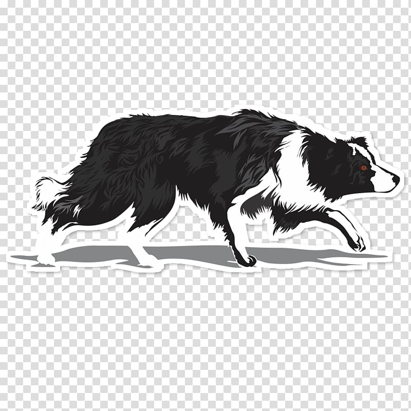 Border Collie Rough Collie Dog breed Chihuahua Herding dog, border collie transparent background PNG clipart