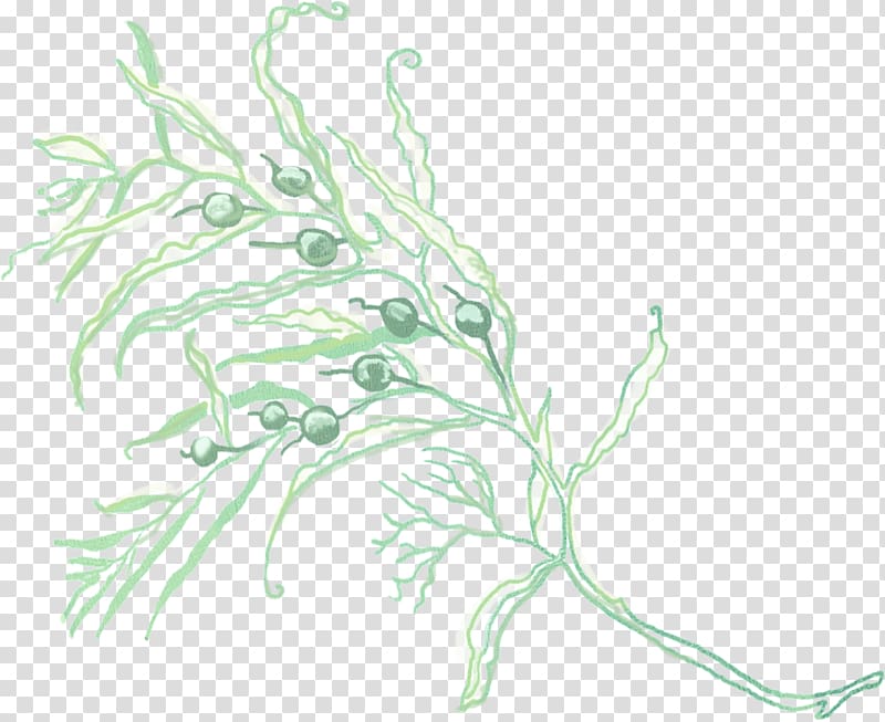 Motif Plant, Hand-painted floral motifs transparent background PNG clipart