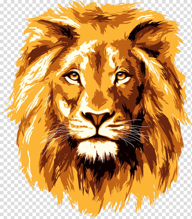 yellow male lion illustration, Lionhead rabbit , lion face transparent background PNG clipart