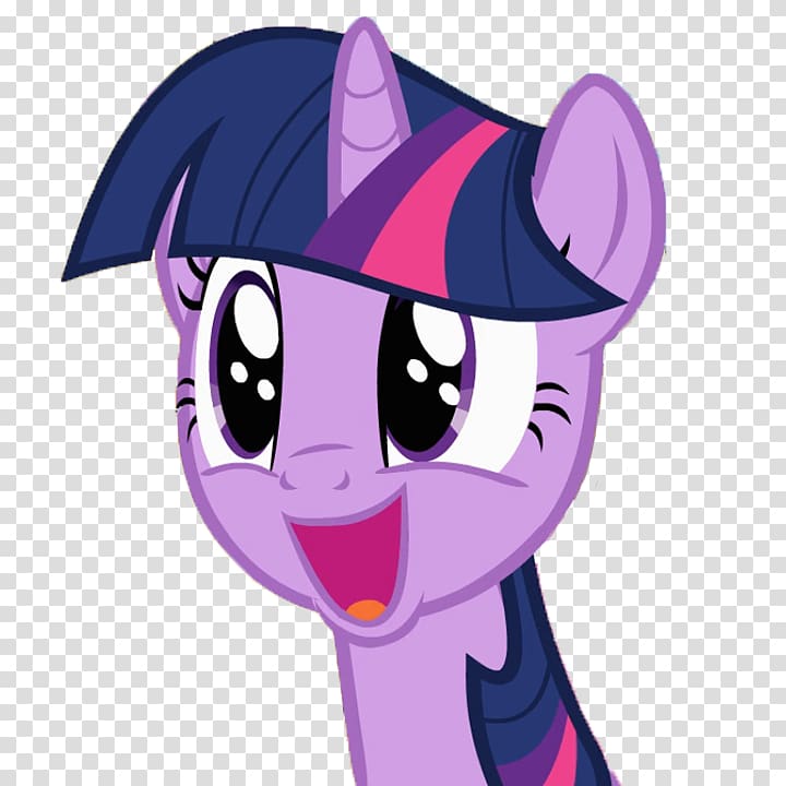 Twilight Sparkle Rarity Pony Applejack Spike, i dont know transparent background PNG clipart