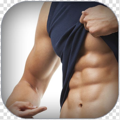 Rectus abdominis muscle Exercise Physical strength Crunch, 6 pack abs transparent background PNG clipart