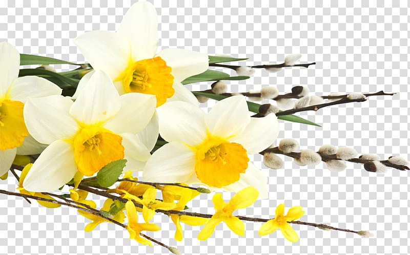 Daffodil Flower bouquet Tulip Desktop , lily of the valley transparent background PNG clipart