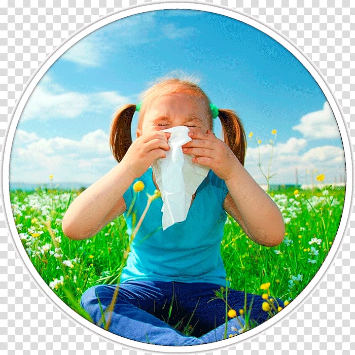Hay fever Allergy Rhinorrhea Symptom Asthma, Air Medical Services transparent background PNG clipart