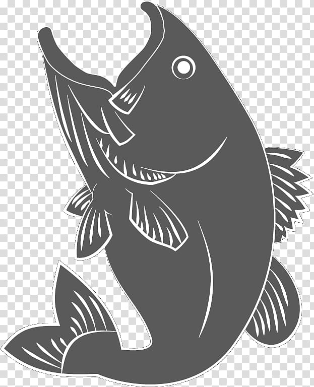 Marine mammal White Fish Font, Catch A Fish transparent background PNG clipart