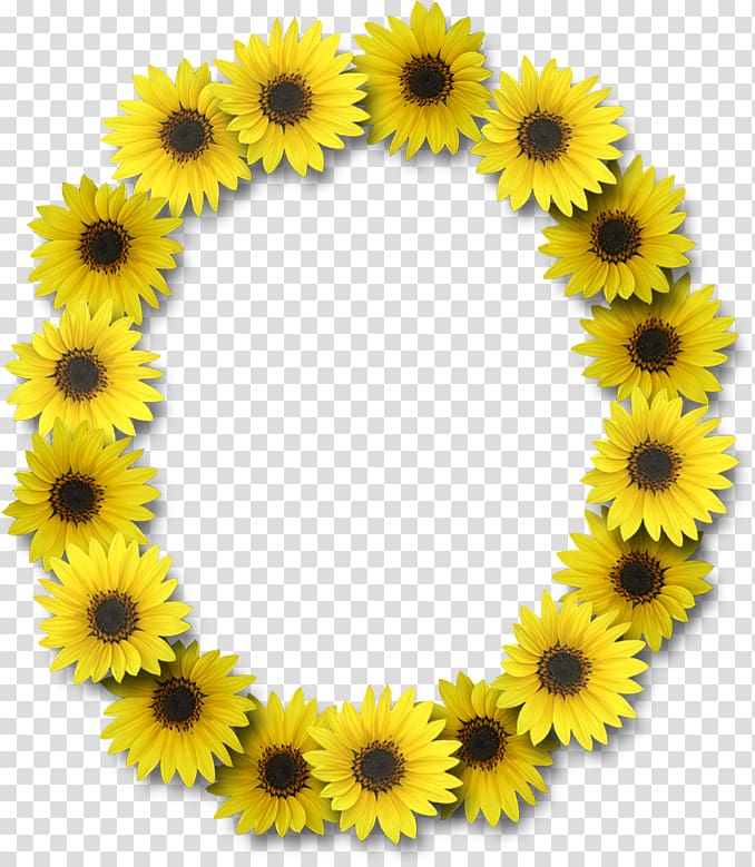 Letter case Alphabet Common sunflower, flower transparent background PNG clipart