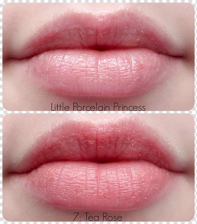 Lip gloss Tony Moly Petite Bunny Gloss Bar Tints and shades Etude House, lip tint transparent background PNG clipart