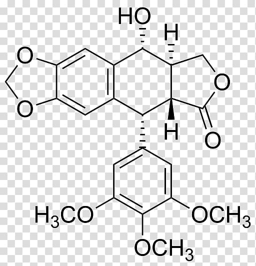 Podophyllum peltatum Podophyllotoxin Lignan Podophyllum resin Etoposide, dispute transparent background PNG clipart