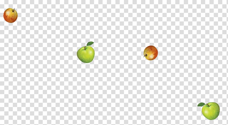 Granny Smith Desktop Citrus Apple Computer, apple transparent background PNG clipart