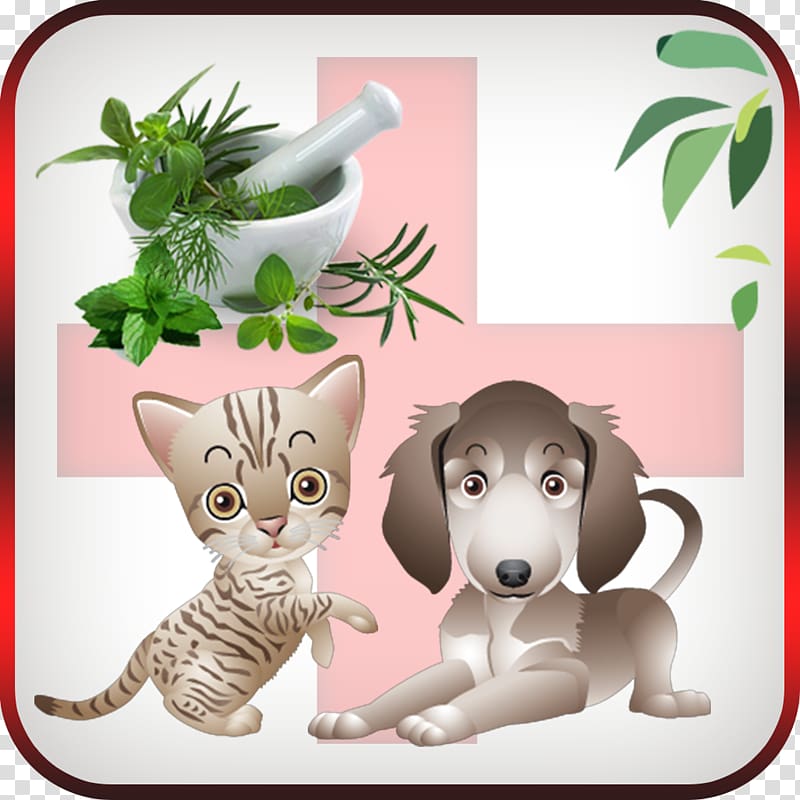 Whiskers Dog Cat Heal with Essential Oil: Nature's Medicine Cabinet Mammal, Dog transparent background PNG clipart