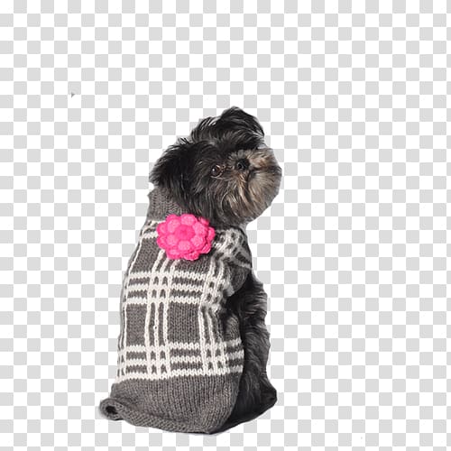 Schnoodle Affenpinscher Puppy Dog breed Clothing, 100 percent fresh transparent background PNG clipart