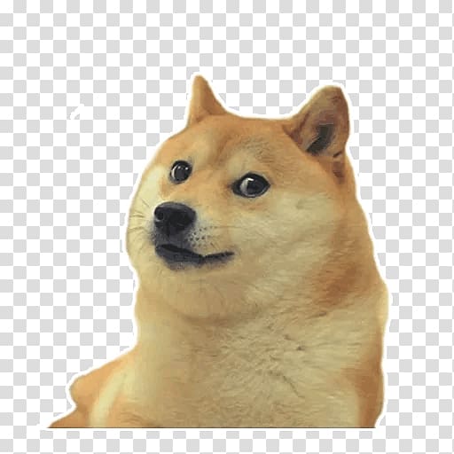 Roblox Cartoon Shiba Inu Transparent Free Transparent