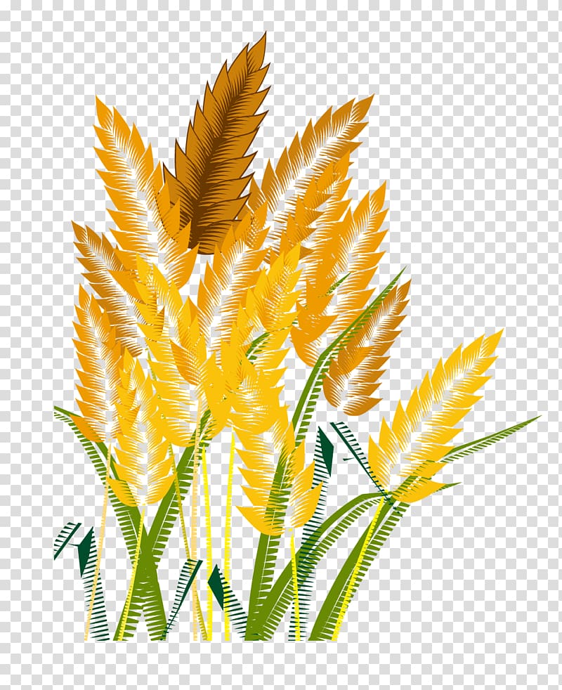 Crop Icon, Wheat transparent background PNG clipart