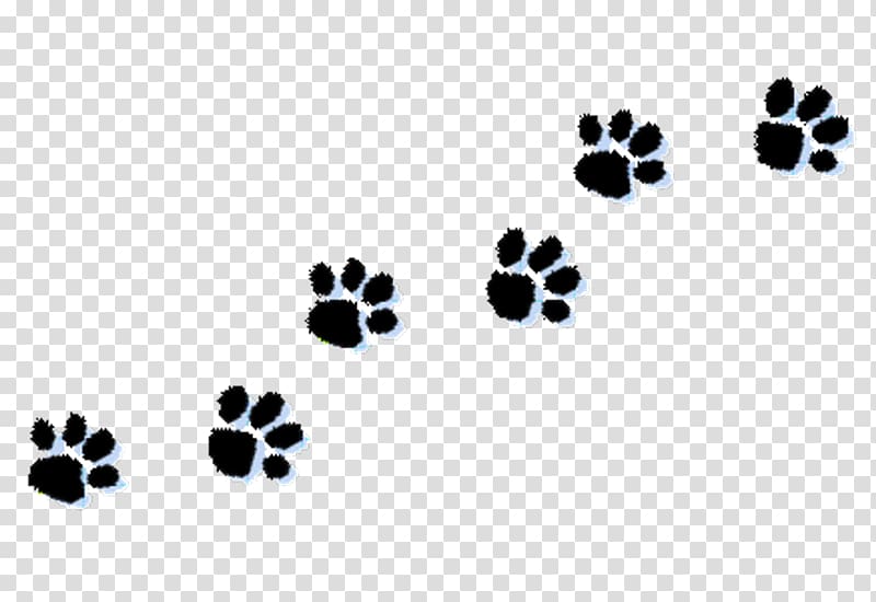 Dog Kitten Paw , home transparent background PNG clipart