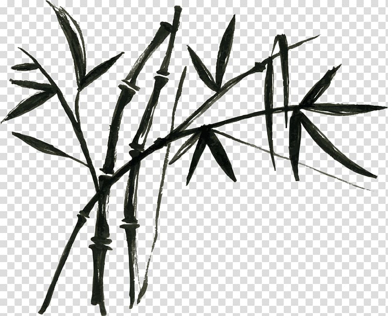Tropical woody bamboos Chinese cuisine Bamboo painting Bamboo shoot, others transparent background PNG clipart