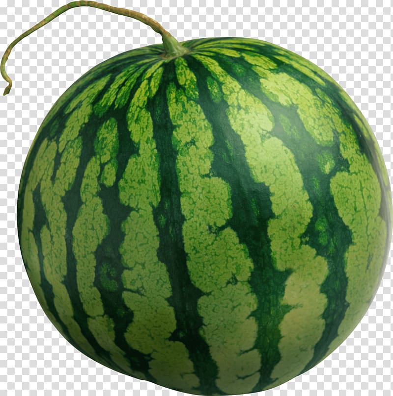 green watermelon, Large Isolated Watermelon transparent background PNG clipart