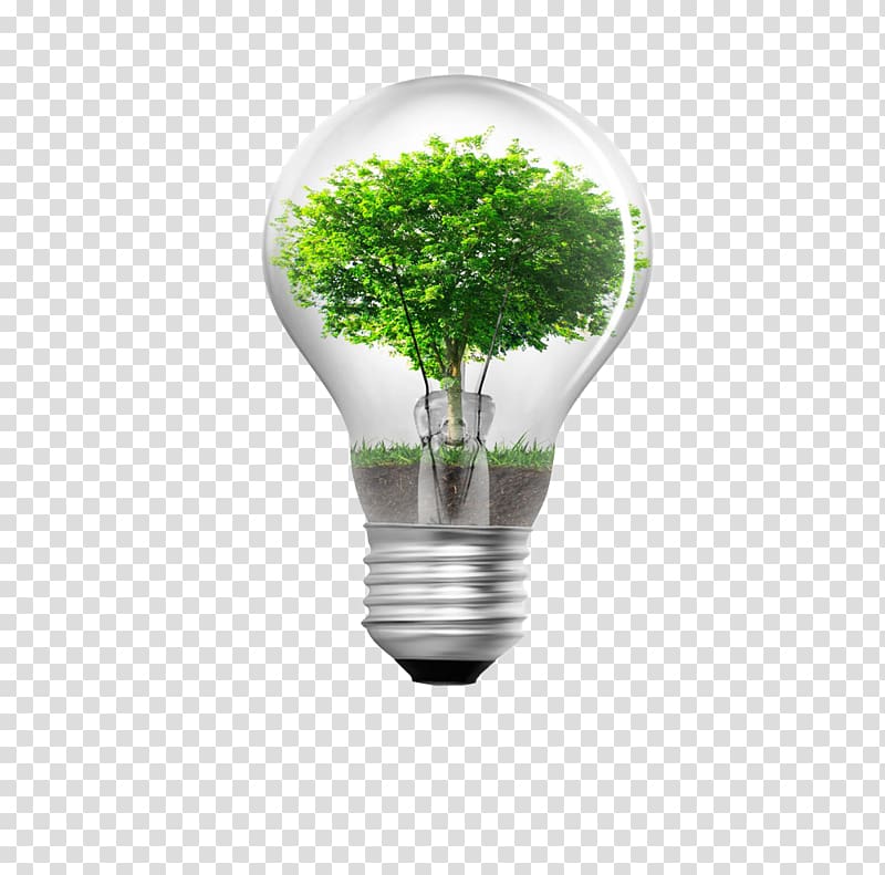 Energy conservation Window film Business Efficient energy use Sustainability, Tree bulb creative transparent background PNG clipart