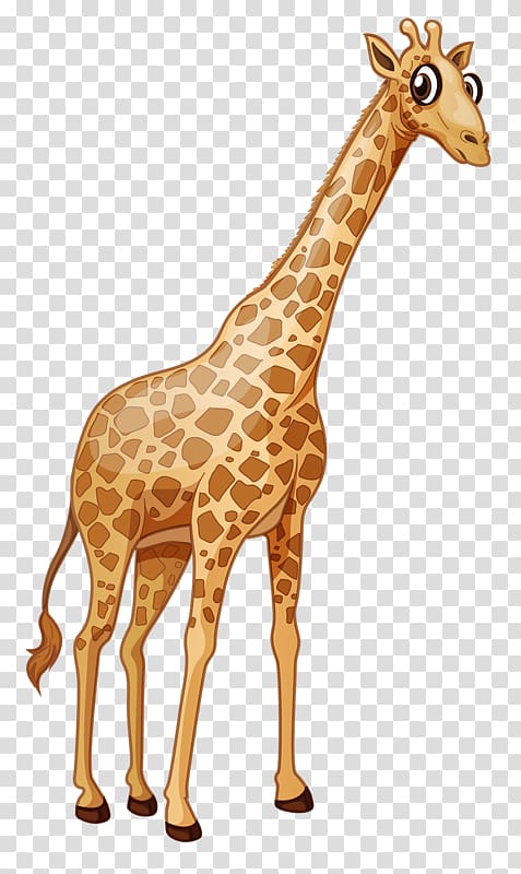 Giraffe Euclidean Illustration, Cute giraffe transparent background PNG clipart