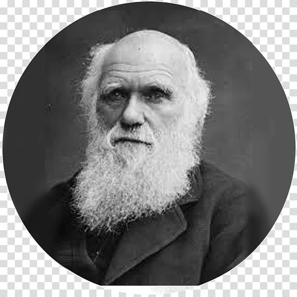 Charles Darwin The Voyage of the Beagle On the Origin of Species Darwinism Evolution, Charles Darwin transparent background PNG clipart
