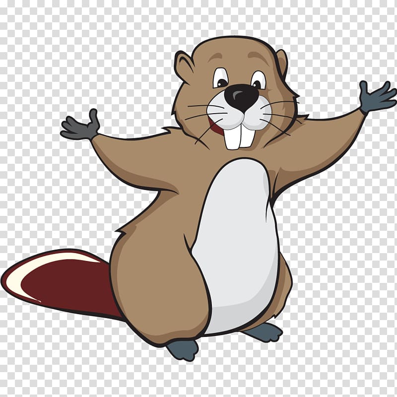 Beaver Drawing , beaver transparent background PNG clipart