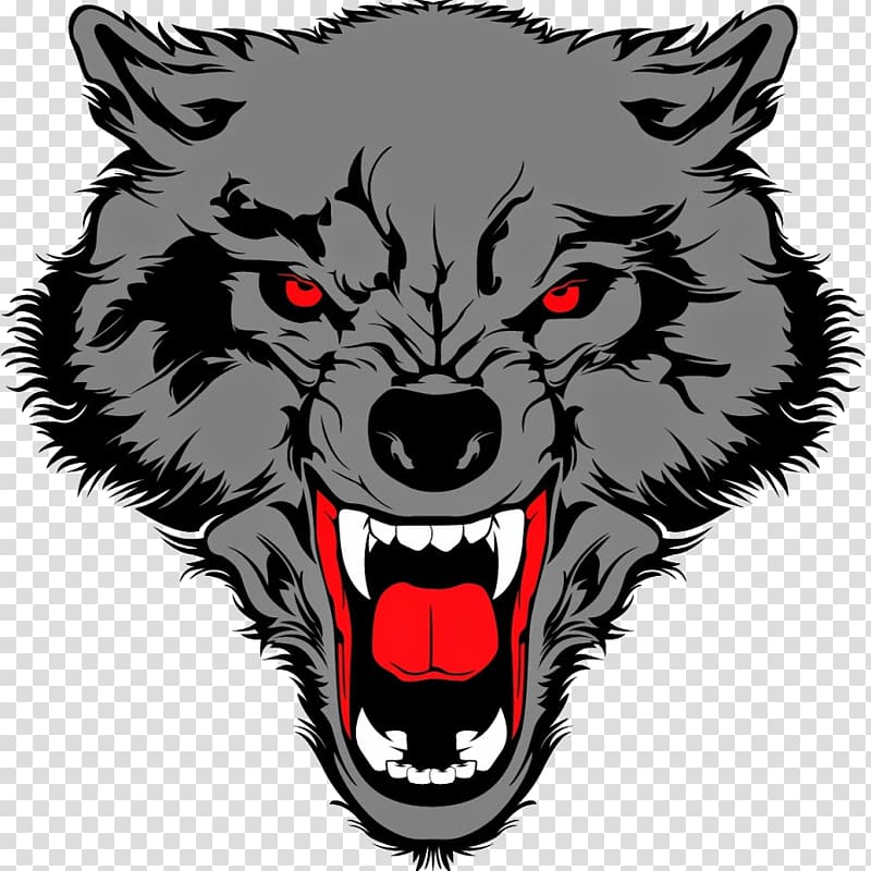 gray wolf head illustration, Gray wolf Drawing , wolf transparent background PNG clipart