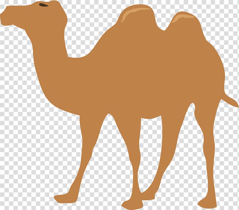 Camel Scalable Graphics , Walking Camel transparent background PNG clipart