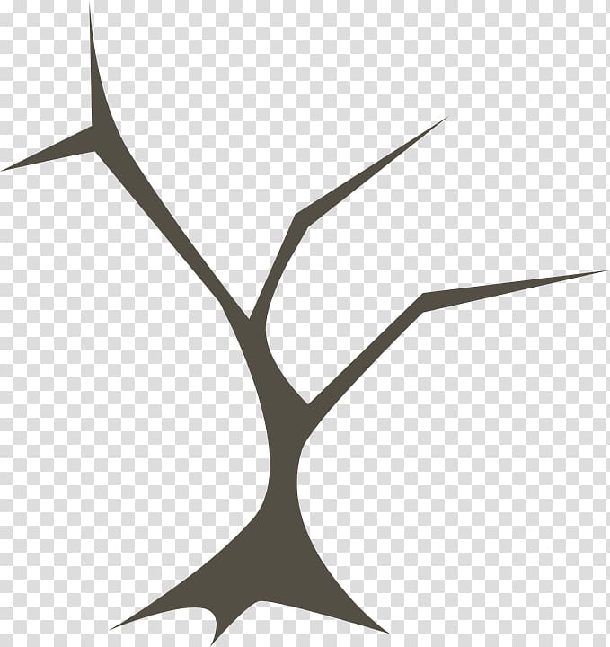 Branching Tree Forest Release management, tree transparent background PNG clipart