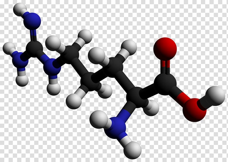 Asymmetric dimethylarginine Essential amino acid, thumbtack transparent background PNG clipart