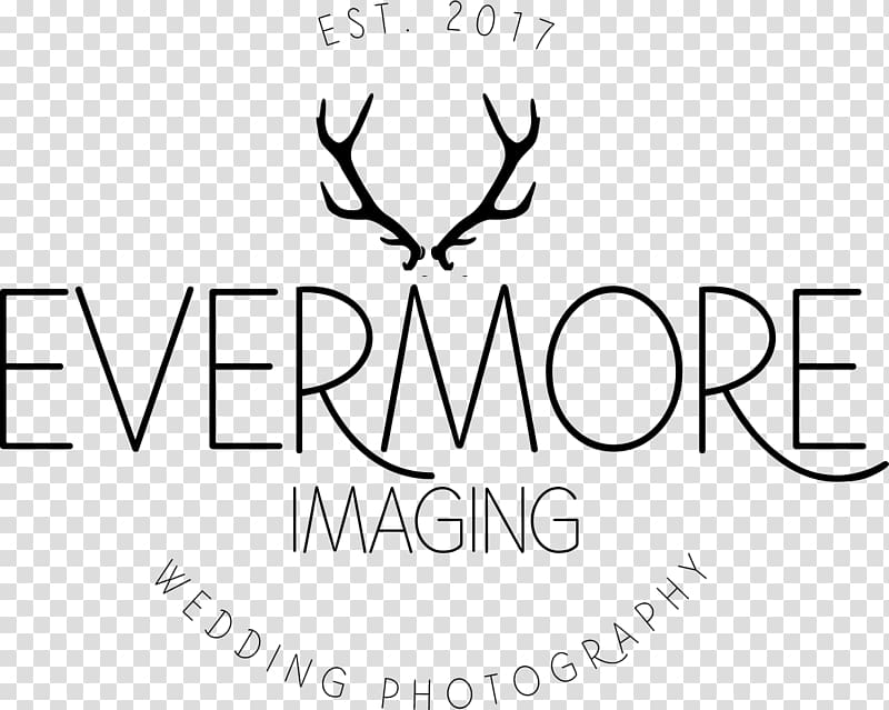 Evermore Imaging grapher Wedding Light Surrounding You, grapher transparent background PNG clipart
