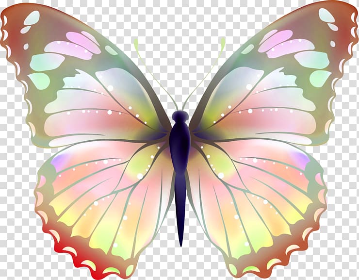 Butterfly Greta oto Desktop , plumeria 14 2 1 transparent background PNG clipart