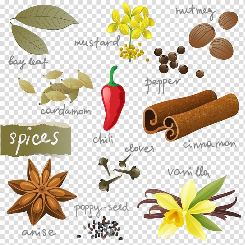 cartoon illustration spices transparent background PNG clipart