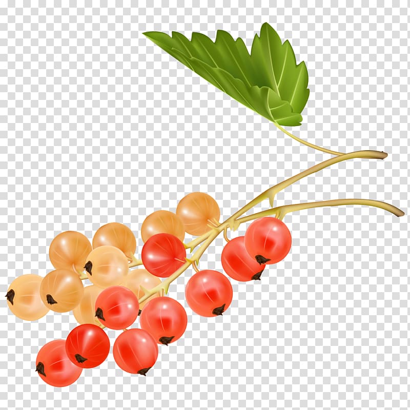 Cherry Juice Zante currant Fruit Grape, cherry transparent background PNG clipart