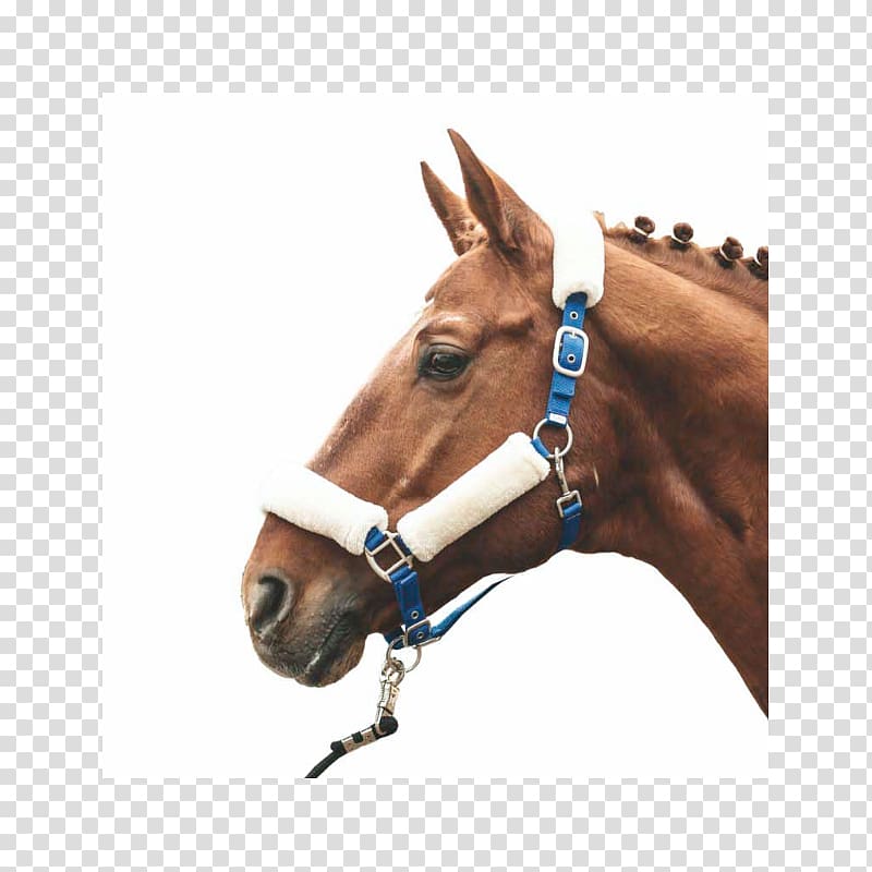 Horse Halter Making Rope Equestrian, horse transparent background PNG clipart