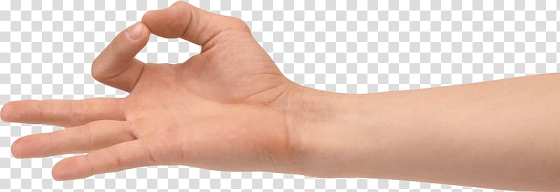 Hand Human body Upper limb, Hands , hand free transparent background PNG clipart