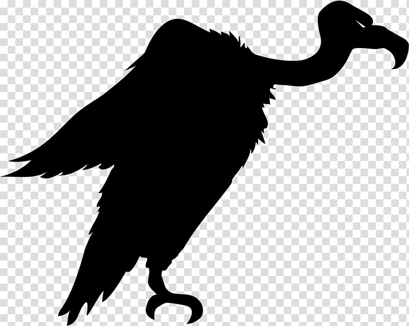 Turkey vulture Bird , animal silhouettes transparent background PNG clipart