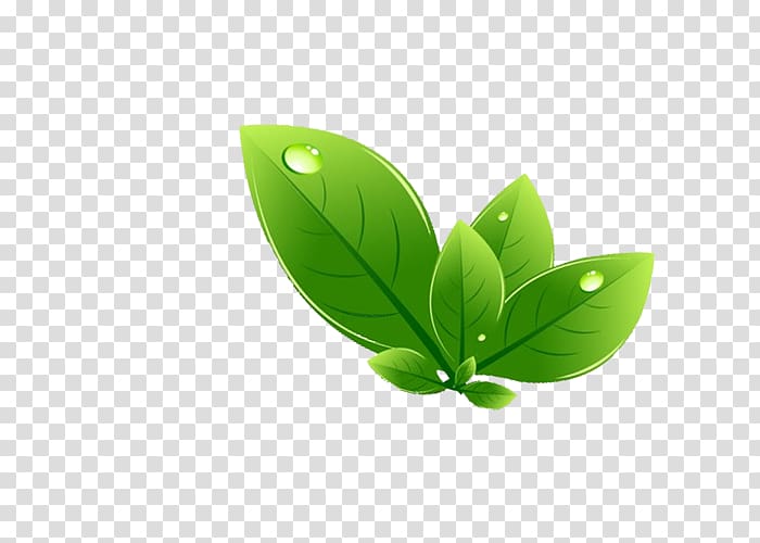 green leaves , Leaf Green, leaf transparent background PNG clipart