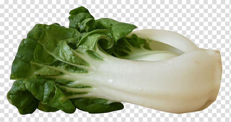 Vegetable Bok choy resolution, vegetables transparent background PNG clipart