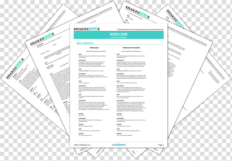 The Color of Water: A Black Man\'s Tribute to His White Mother SparkNotes Quotation Chapter Essay, summary graph transparent background PNG clipart