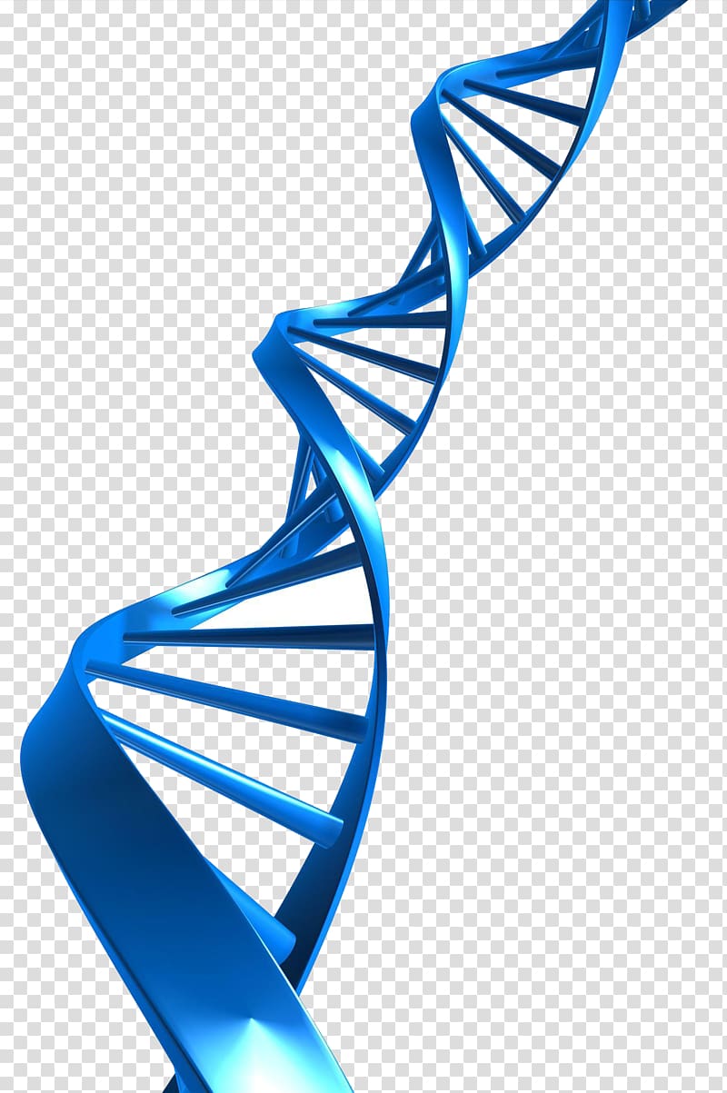 dna material transparent background PNG clipart
