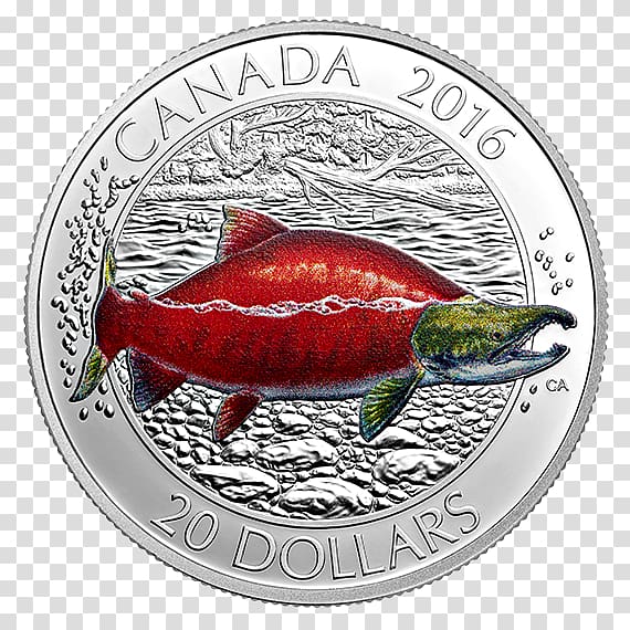 Coin Canada Fish Silver Salmon, sockeye salmon transparent background PNG clipart