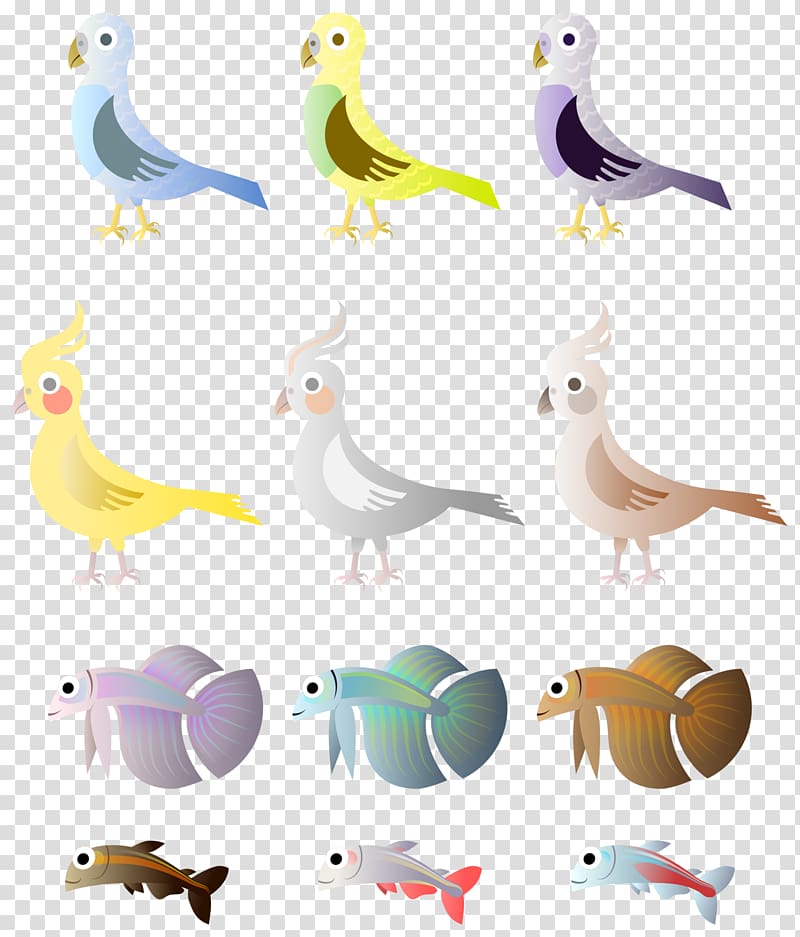 Bird Drawing Parrot , simple bird transparent background PNG clipart