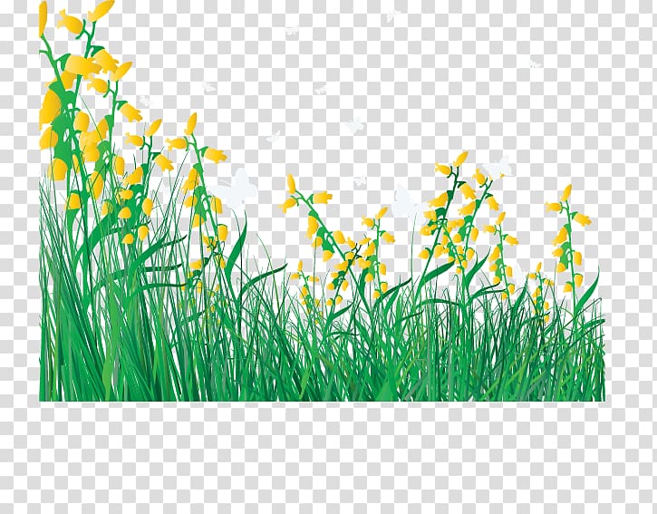 Flower Lawn , Cartoon spring flowers fresh grass transparent background PNG clipart