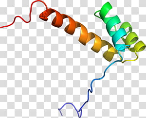 Line Point Organism , line transparent background PNG clipart thumbnail