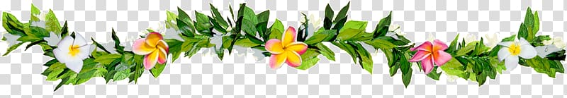 flower and leaves , Maui Lei Frangipani Plant stem, hawaiian lei transparent background PNG clipart