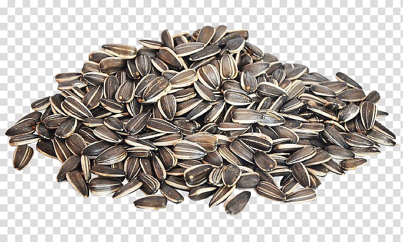 Nut Sunflower seed Common sunflower, others transparent background PNG clipart