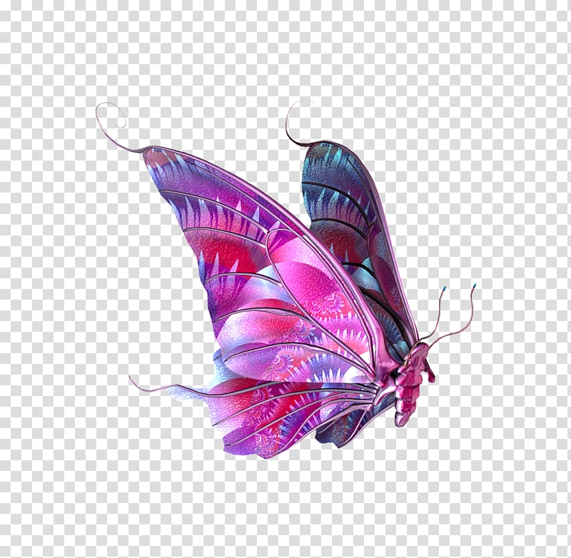 Butterfly , Butterfly elements transparent background PNG clipart