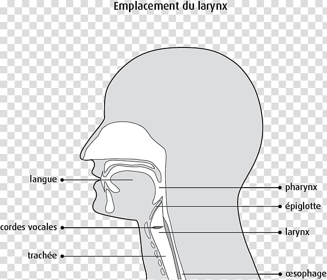Thumb Cheek Mouth Jaw Finger, larynx transparent background PNG clipart