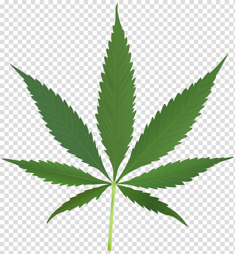 скачать лист марихуаны