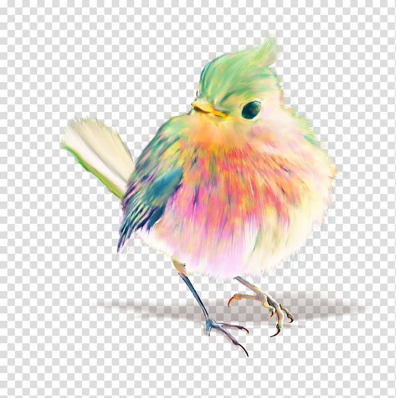 Bird Watercolor painting Drawing Pastel, Bird transparent background PNG clipart