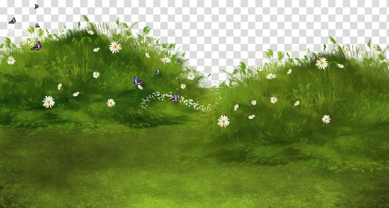 white daisies near butterflies, Watercolor painting , Watercolor grass transparent background PNG clipart